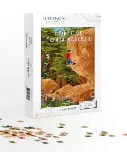 Puzzle Forêt de Fontainebleau – Bas Cuvier